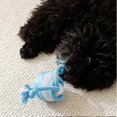 thumbnail image 4 of Rechargeable Interactive Dog Toy Ball, Motion Activated Rolling Ball for Small Pet Dog, Indoor Outdoor Training & Boredom Buster, 4 of 5