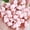 Pink 02, variant on Mini Ducks 300 Pack Tiny Glow in the Dark Duck Figurines Bulk for Miniature Dollhouse Decor Accessories Garden Aquarium Potted Ornament Party Toys DIY Charms Office Classroom Activity
