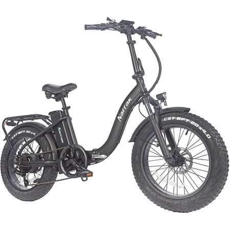 Narrak 48V500W13AH 20" x4.0 Adult Step-Thru Folding Fat Tire E-Bike Mountain Electric Bicycle Beach Cruiser Snow Bike-Black