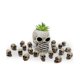 thumbnail image 5 of 40Pcs Simulation Skull Model Toys Modern Mini Skull DIY Halloween Decoration Funny Model Toys Colle, 5 of 5