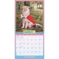 thumbnail image 3 of BrownTrout, Avanti Cranky Kitties by Plato 2025 Wall Calendar, 3 of 4