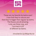 thumbnail image 4 of (2 pack) Eco Lips Organic Mongo Kiss Lip Balm 4-pack Variety (0.15 oz. Each), 4 of 13