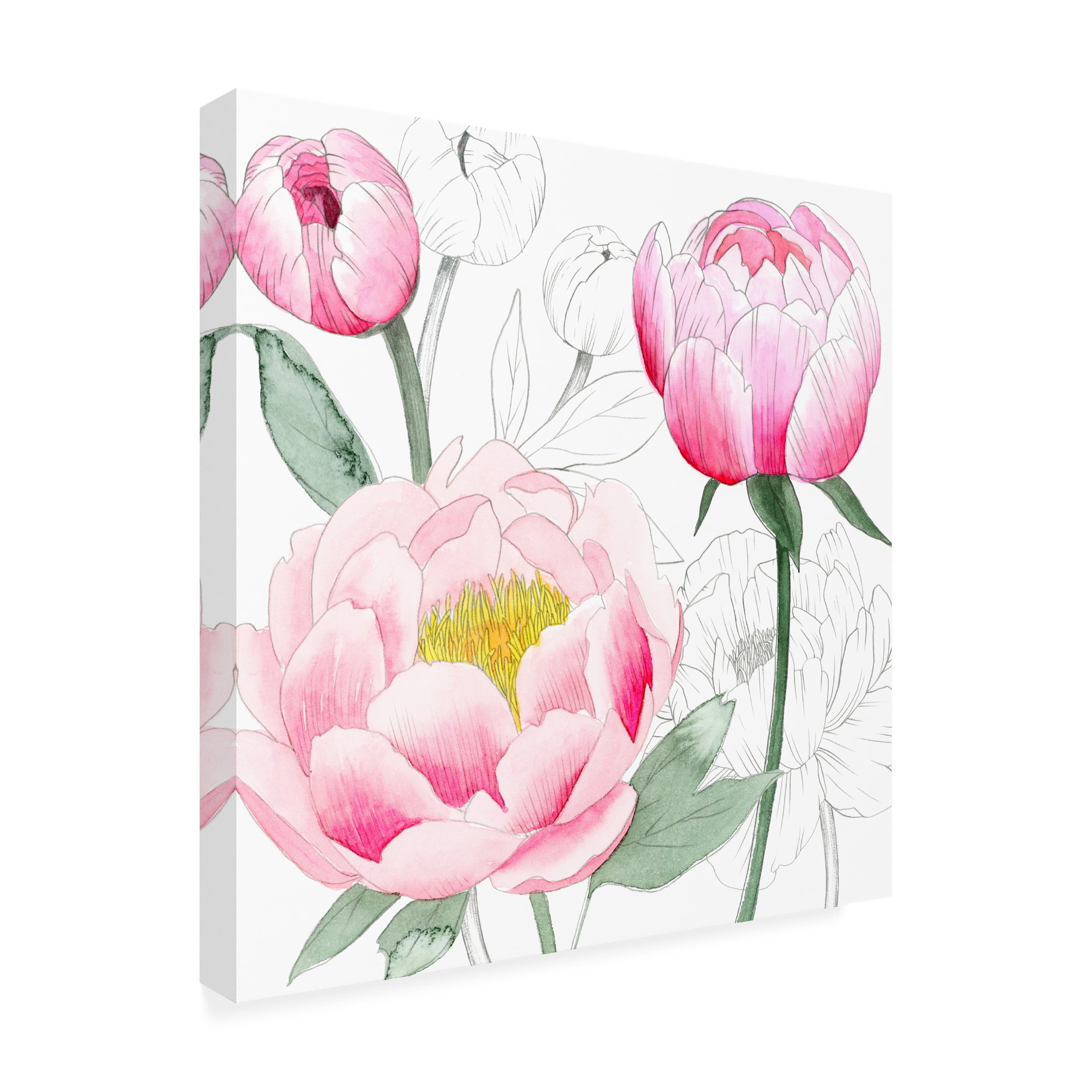Grace Popp 'May Peonies II' Canvas Art