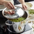 thumbnail image 7 of Demeyere Atlantis Proline 7 8.5-qt Stainless Steel Stock Pot, 7 of 7