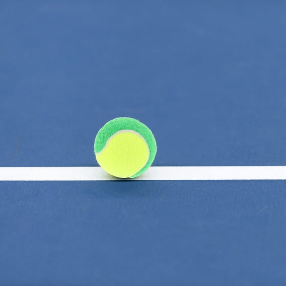 CTIRCHIU 20Pcs Pet Tennis Balls for Dog Exercise Durable Rubber Balls in Green for Training