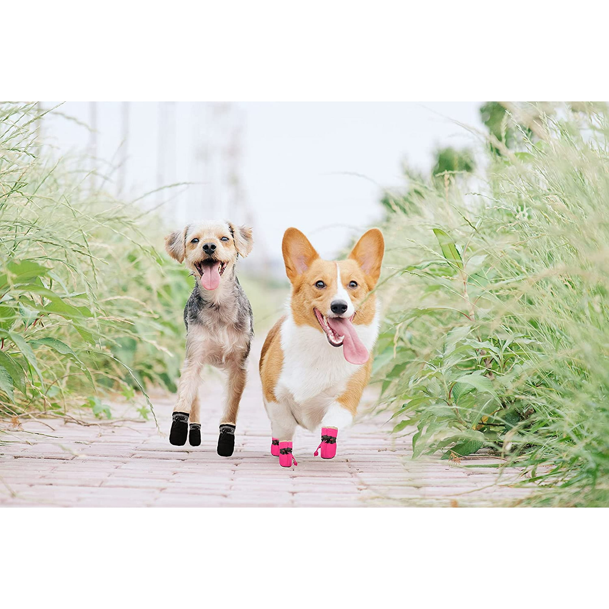 Dog shoes at walmart hot sale