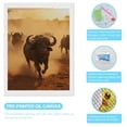 thumbnail image 3 of Diamond Art Kits for Adults, Buffalo Herd Sunset Dusty Path 5D Diamond Painting Kits for Adults Beginners, DIY Full Drill Diamond Painting, Gem Art and Crafts 12x16, 3 of 7