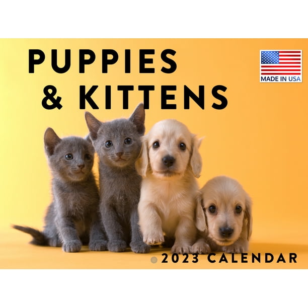 Puppy Kitten Calendar 2023 Monthly Wall Hanging Calendar Funny Baby Animal Cat Dog Pet Large