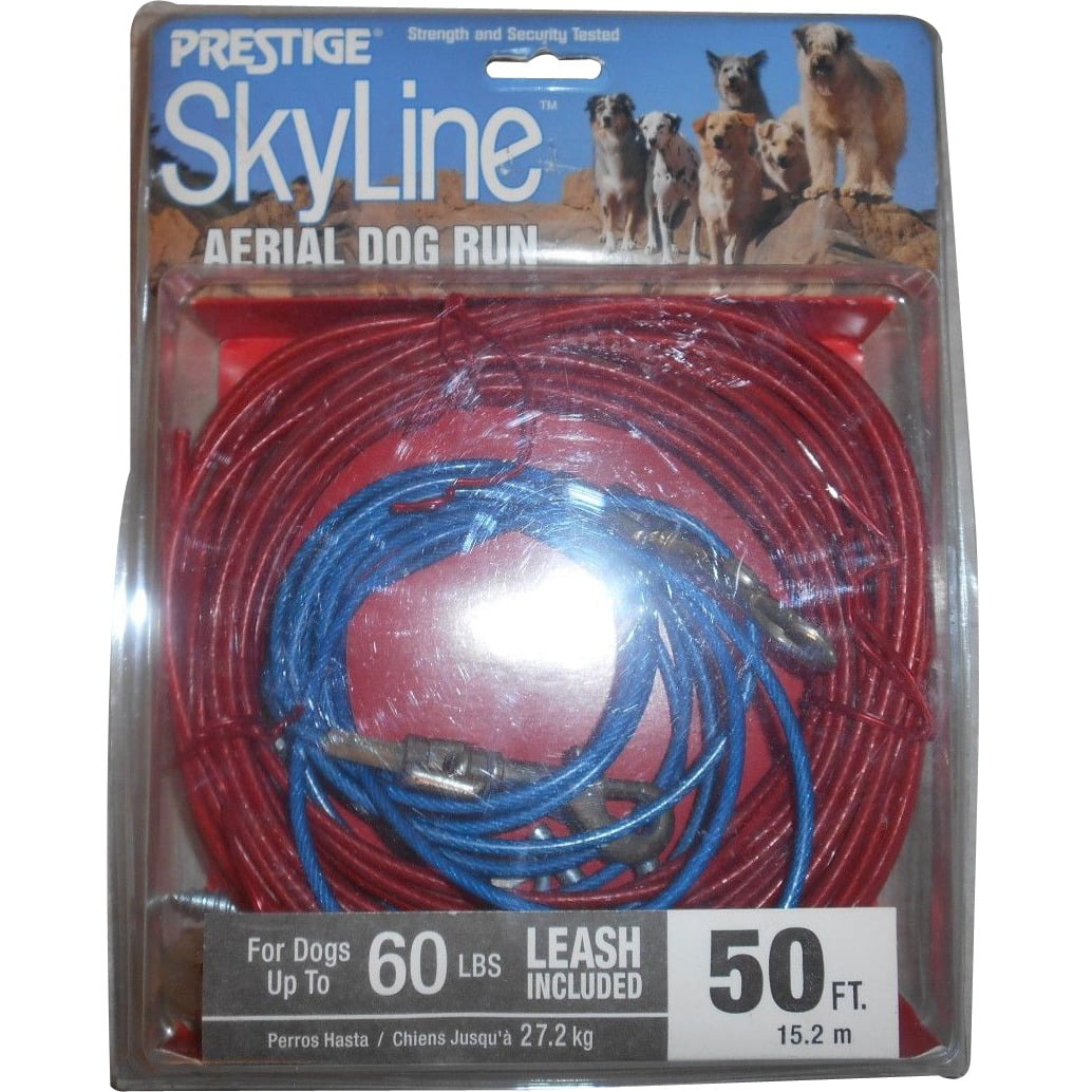 skyline aerial dog run