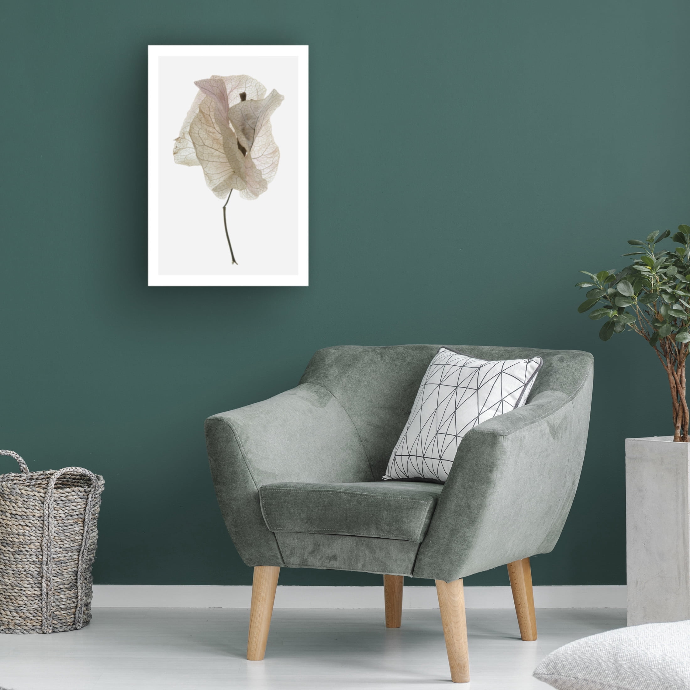 Trademark Fine Art Shot by Clint Bougainvillea Study No1 Canvas Wall Art