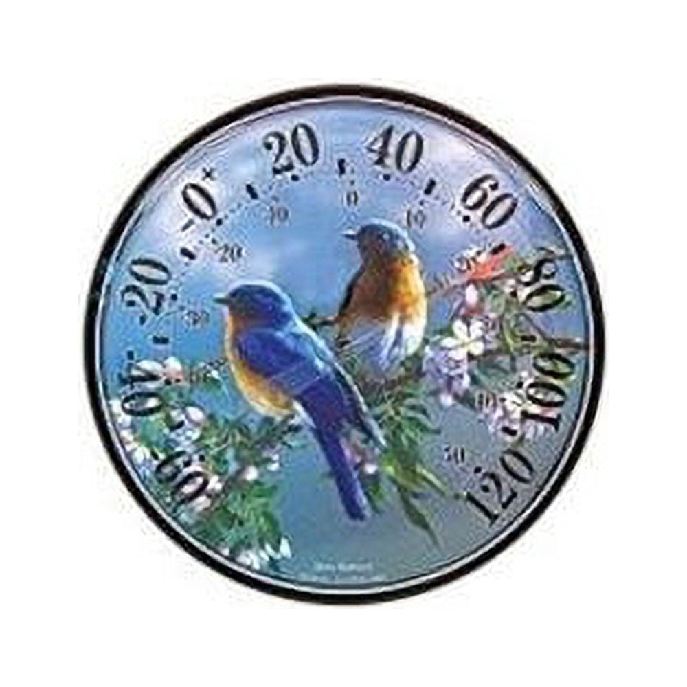 Chaney Instrument Acu-Rite Bluebird Outdoor Wall Thermometer
