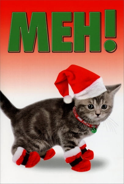 Humorous Christmas Card Details about   Avanti Press Cat with Stocking on Head Funny 
