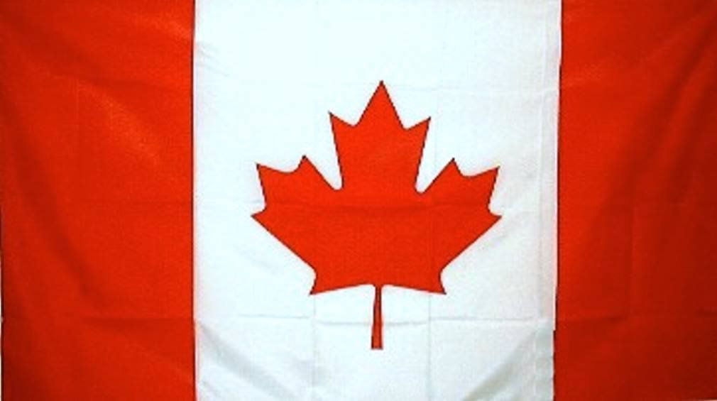 3'x5' World Country National Polyester USA Canada UK Germany Flags-Free Shipping 