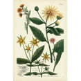 thumbnail image 2 of Weinmann 23x32 Gold Ornate Wood Framed with Double Matting Museum Art Print Titled - Saffron Garden I, 2 of 4