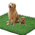 thumbnail image 1 of chock 41” X 30” Artificial Grass Patch for Dogs Potty Training  Washable Reusable Turf Grass Pee Pads for Small to Large Dogs, 1 of 7
