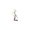 L, variant on Letter Keychain,26 Letters A-Z Decorative Letter Keychain,Name Keychain for Women Girls Men Teenager Gift