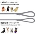 thumbnail image 5 of Slip Lead Dog Leash, Reflective Mountain Climbing Rope Leash, Dog Training Leash – 5FT, 2 Sizes (Medium, Turquoise) Turquoise Medium Turquoise Medium Turquoise Medium, 5 of 5