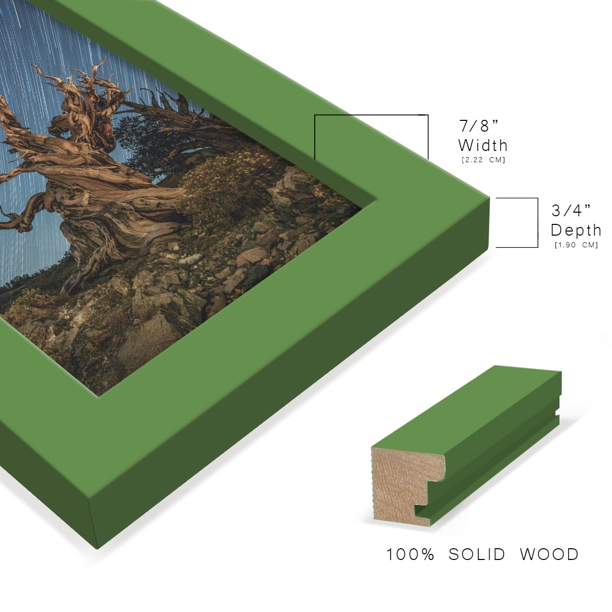Modern 4 in. x 6 in. Green Picture Frame (Set of 4)