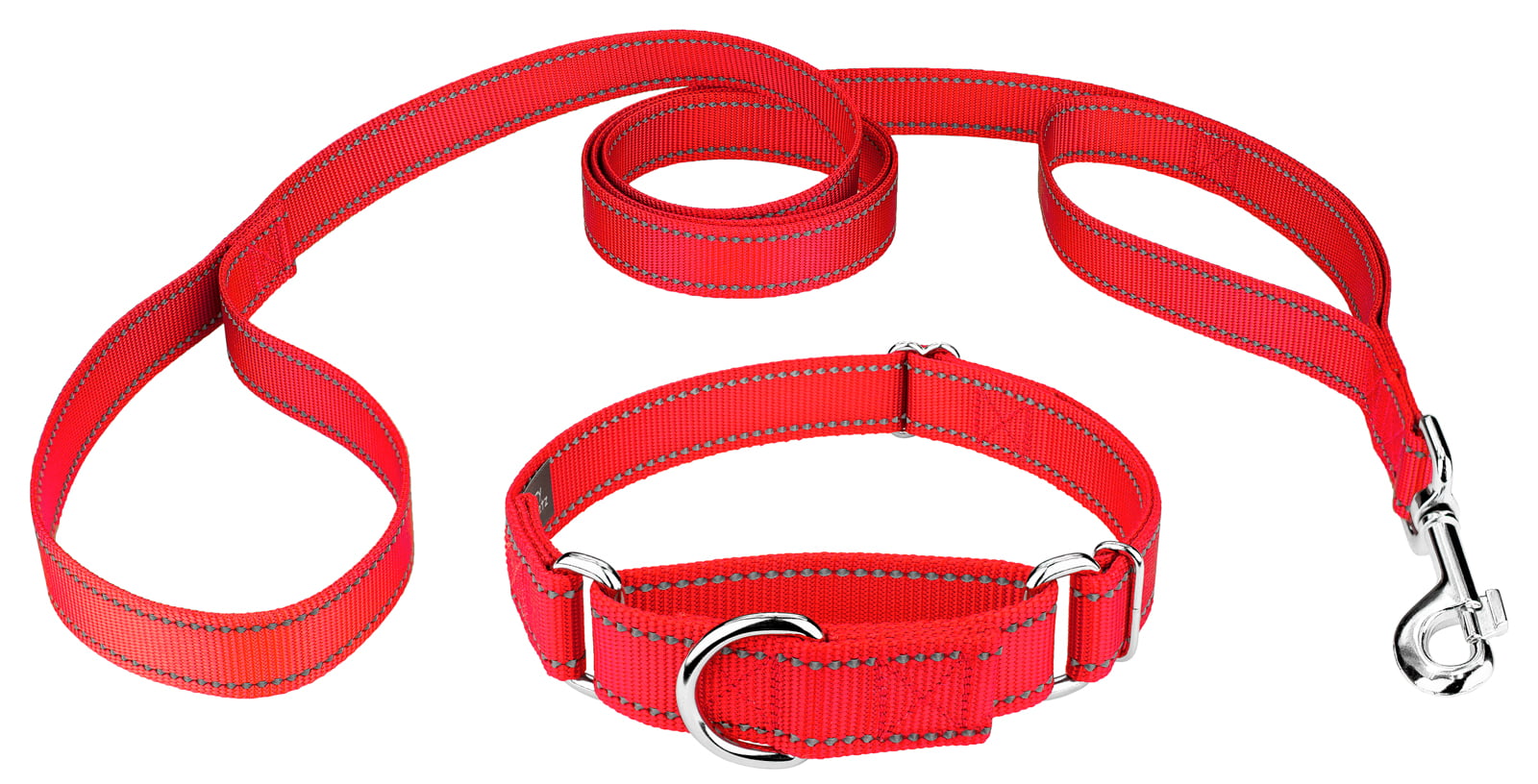 Country Brook Design® Nylon Martingale Dog Show Lead