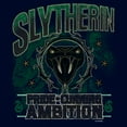 thumbnail image 2 of Mens Harry Potter Slytherin Pride and Ambition Lightweight Hoodie, 2 of 4