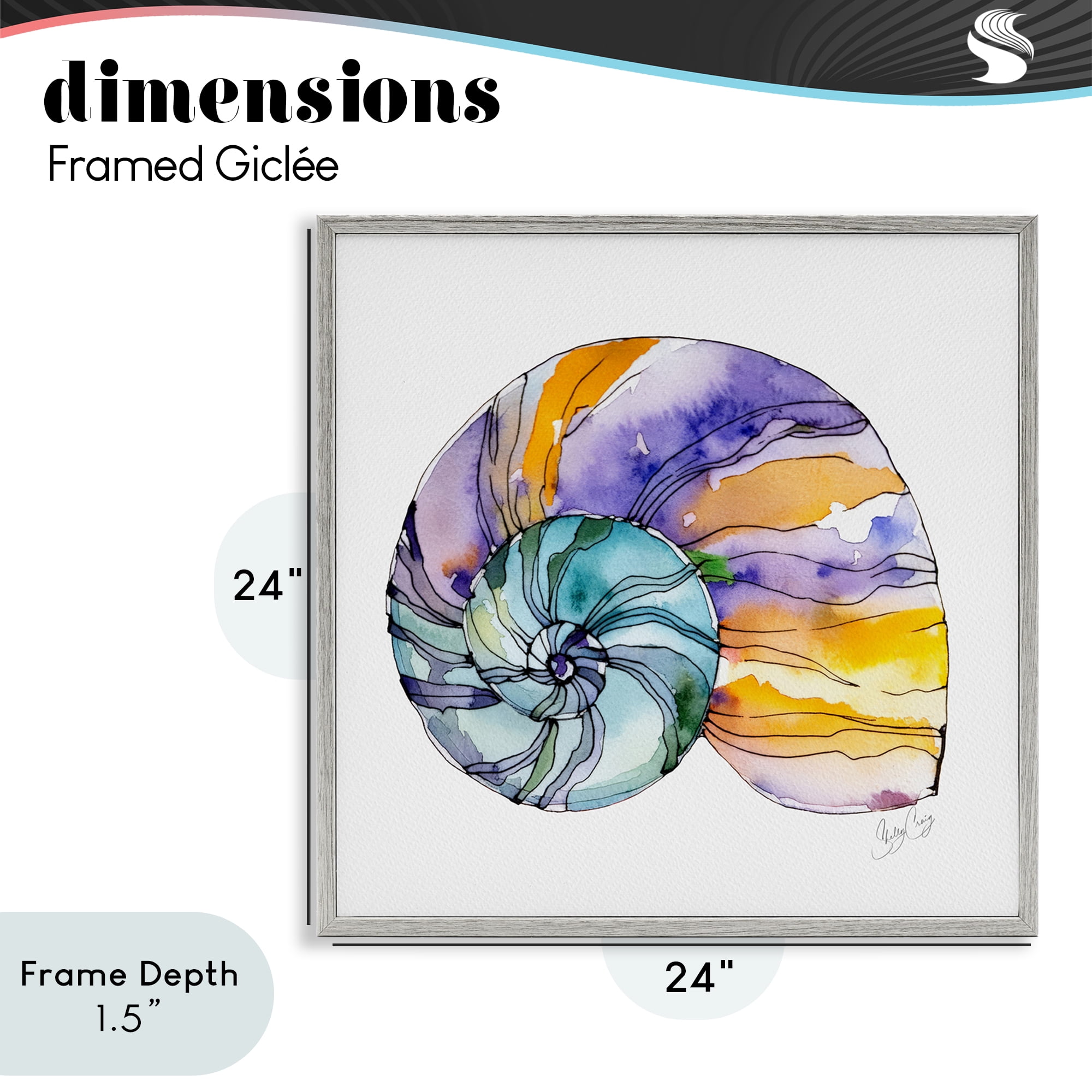 Stupell Industries Sunlit Striped Nautilus Gray Framed Giclee Art, design by Shelly Craig