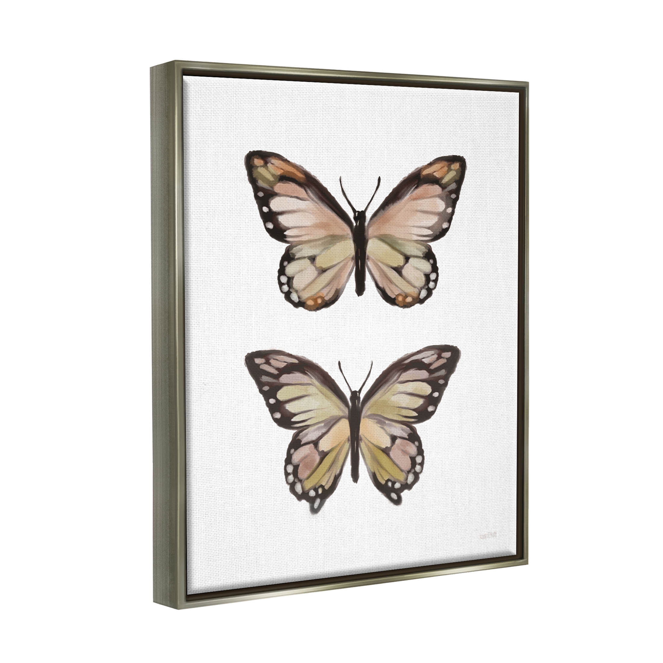 Stupell Industries Butterfly Wings Insect Portrait Graphic Art Luster Gray Floating Framed Canvas Print Wall Art, Design by House Fenway