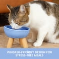 thumbnail image 3 of The Cat Ladies Tilted Ceramic Cat Bowl - Elevated Food Bowls Ceramic Pet Bowl - Raised Ceramics Bowls - Elevated & Tilted Design for Comfortable Eating - Blue, 3 of 6
