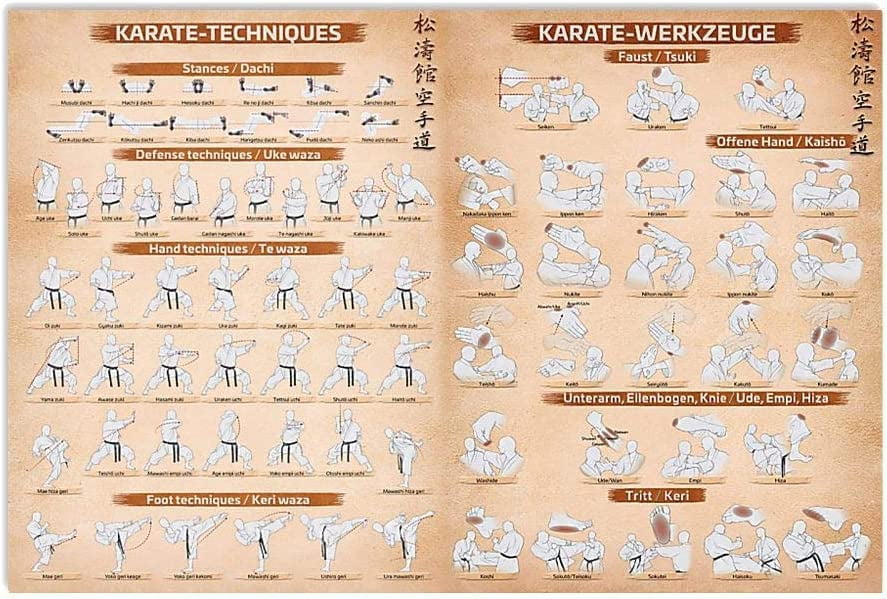 Karate Techniques Knowledge Metal Sign Vintage Martial Arts Hall Wall ...