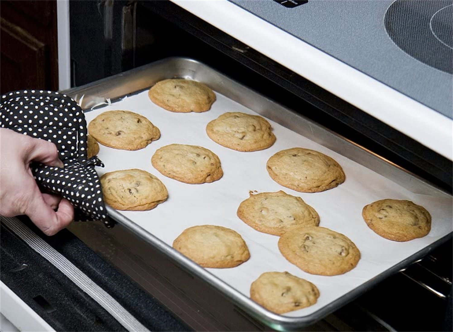 Oven Baking Sheet Pan Set, Casewin Stainless Steel Small Cookie Sheet Broiling Pan, 3-Piece Metal Rectangle Rimmed Bakeware, Non-toxic & Dishwasher Safe