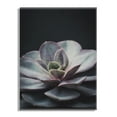 thumbnail image 2 of Kate and Laurel x F2Images Collaboration Lavender Succulent Floating Acrylic Art, 23x31, Decorative Succulent Decor, 2 of 8