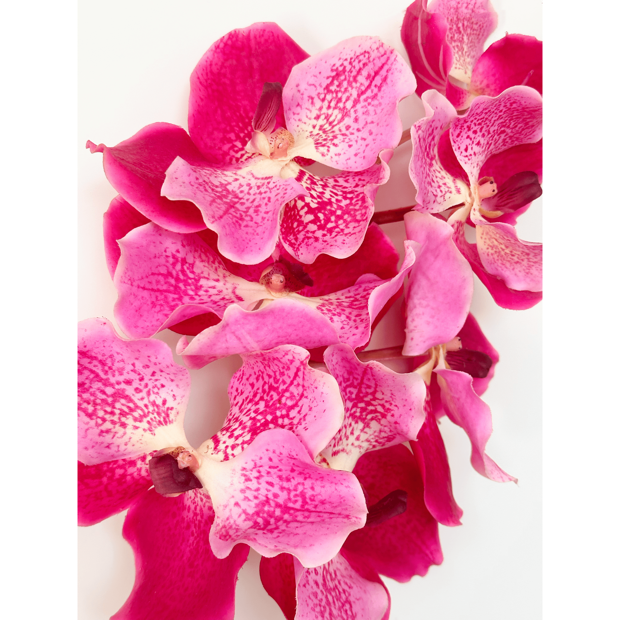 Amaranton 24" Real Touch Vanda Orchid - Fuchsia 5Pcs Artificial Flowers Bouquet for Gift Home Decor Indoor Outdoor Faux Orchid Flower Fake Floral Arrangements