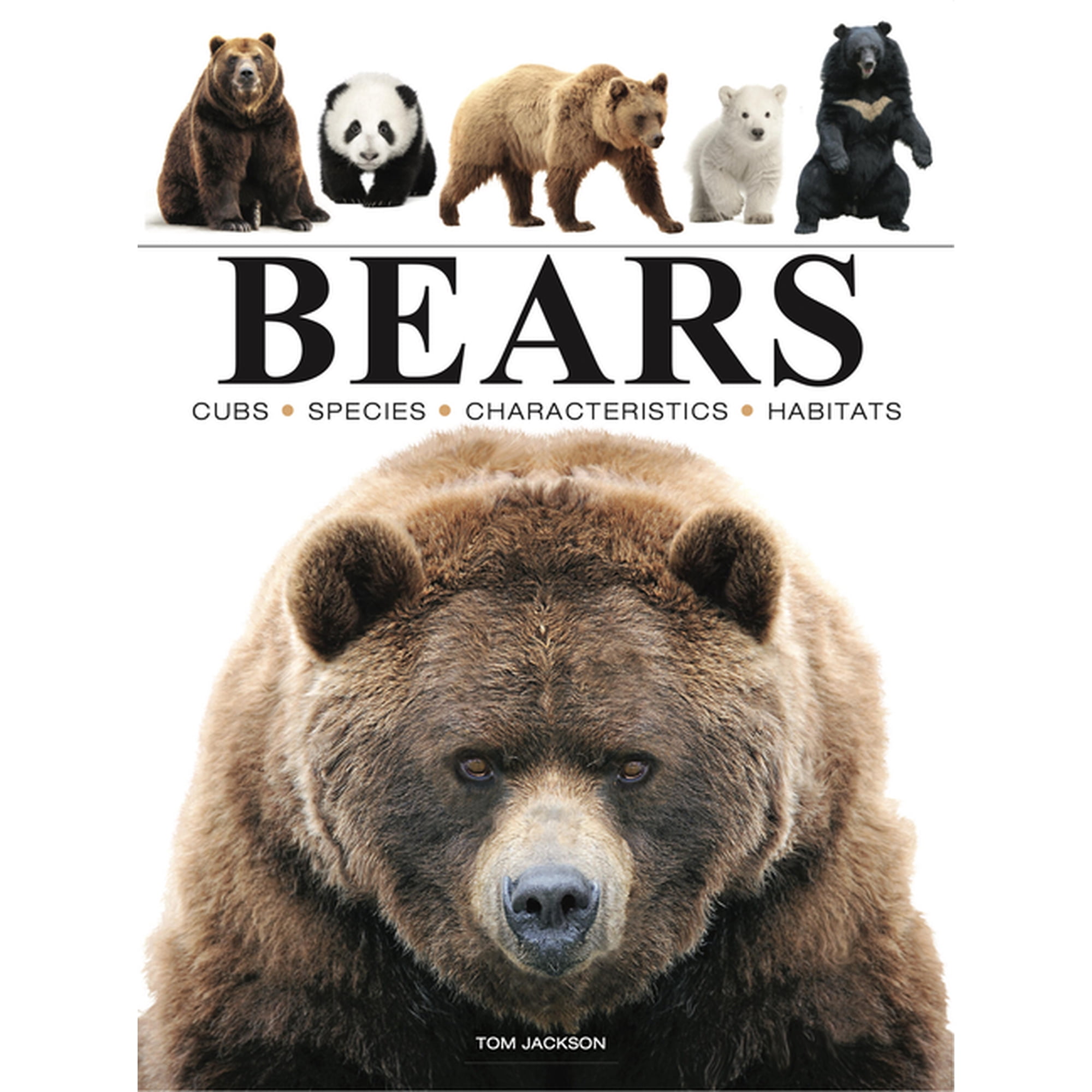 Mini Encyclopedias Bears, (Paperback)