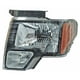 thumbnail image 1 of FARO PICK UP 2009 al 2014 FORD Izquierdo/Piloto Genérica  ., 1 of 4