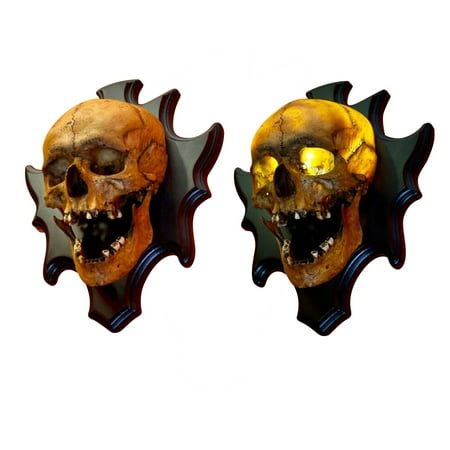 

HACHUM Halloween Home Walls Fine Horror Skeleton Night Light Wall Decorations Halloween Decor