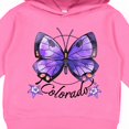 thumbnail image 3 of Inktastic Colorado State Butterfly and Flowers Toddler Hoodie, 3 of 4