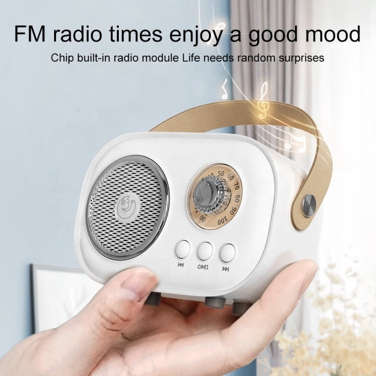 Wireless Karaoke Speaker with Microphone, Portable Bluetooth Audio for Family Gathering & Home Entertainment
