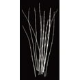 thumbnail image 2 of Wehtje, Jim 9x14 Gold Ornate Wood Framed with Double Matting Museum Art Print Titled - Three Rushes, 2 of 4