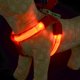 thumbnail image 4 of Billuyoard Arnés LED brillante para perros ajustable para mascotas, cinturón de tracción para el pecho y la espalda, Collar para cachorros, arneses Suministros para perros rojo SG Billuyoard JJ14916-08, 4 of 6