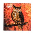thumbnail image 1 of Craft Buddy 18cm DIY Crystal Art / Diamond Painting Card Kit - Autumn Owl, 1 of 4