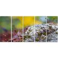 thumbnail image 2 of Abstract Composition of Moss Flowers - Modern Landscape Wall Art Canvas, 2 of 3