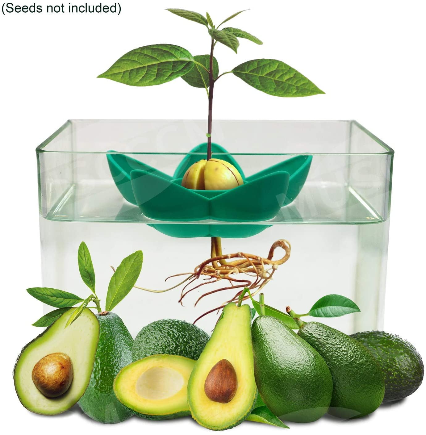 Avocado Tree Growing Kit Planting Bowl Garden Starter Yellow NEW Without Seeds 