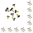 thumbnail image 1 of Inteprter 12 Pieces Dried Flower Crafts Simple Accessories Craft DIY Make Adornment Pressed Exquisite Handicrafts Flowers Makeup Tipo 1 10Conjunto, 1 of 6