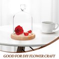thumbnail image 3 of unbranded Cover De Vidrio Transparente Para Flores Con Antideslizante En Madera, 3 of 7
