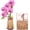 Moth Orchid, variant on Robotime 3D Wooden Puzzle Red Carnation DIY Model Building Kits Artifical Flower Toys for Girls Adults for Thanksgiving & Mother's Day & Valentine's Day & Birthday Gifts