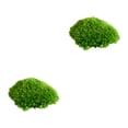 thumbnail image 4 of Billuyoard Musgo de almohada verde, moño ecológico, musgo para una encantadora decoración verde natural, elegante para interiores o exteriores G2 verde natural0.2 2piezas, 4 of 6