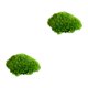 thumbnail image 3 of Naiovety Cojín de musgo para decoración interior o exterior elegante, musgo decorativo verde Natural, musgo de almohada G2 verde natural0.2 2piezas, 3 of 6