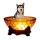 thumbnail image 1 of Lámpara de lectura LED con forma de perro, estatua de resina, adorno para baño de perro, luz ambiental para escritorio, estante, mesita de noche o baño, luz nocturna decorativa alimentada, 1 of 6