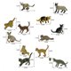 thumbnail image 5 of 12 piezas de simulación Mini modelo de gato Figuras de animales pequeños Surtido de juguetes para gatos Accesorios de decoración del hogar (gato), 5 of 8