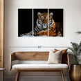 thumbnail image 3 of Elephant Stock Tiger Snapshot Wall Art - Horizontal Multi Panel Canvas - Living Room Wall Decor - Animal Multi Panel - Black And Brown Decor - 45" x 28", 3 of 8