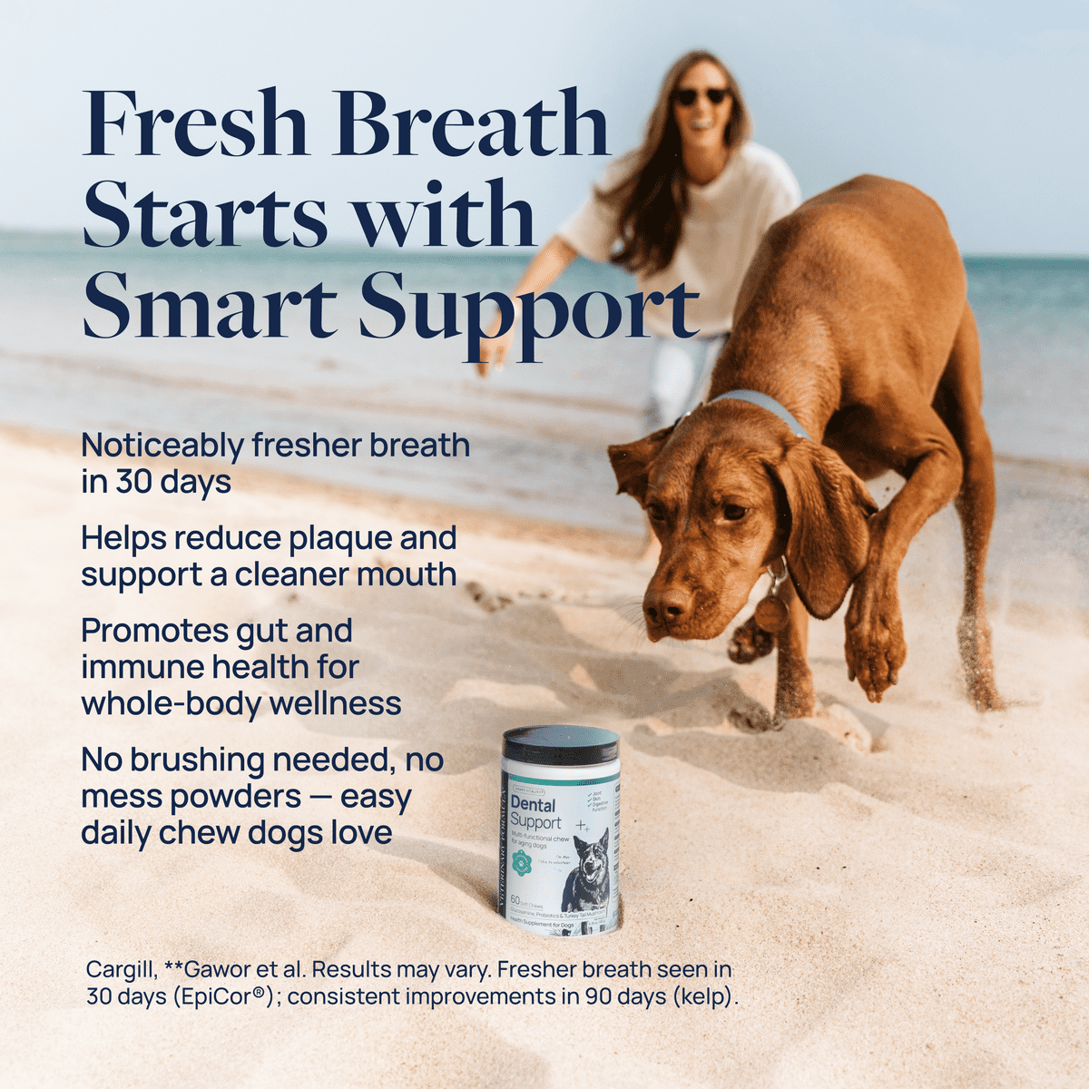 (6 pack) Veterinary Formula Smart Vitality Dental Health Supplement for Dogs, 60 Soft Chews
